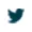 twitter icon